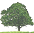 Welcome to The Living Network